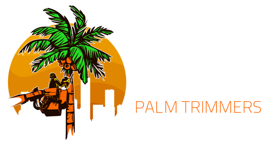 palm tree trimming phoenix