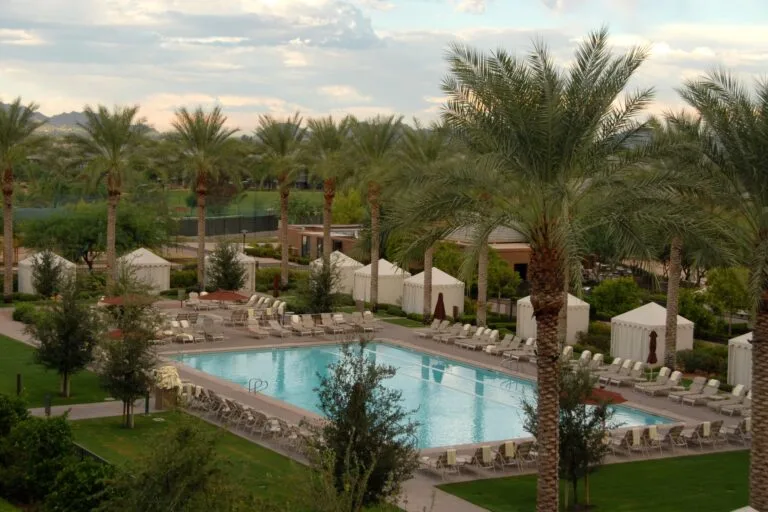 Scottsdale tree trimming